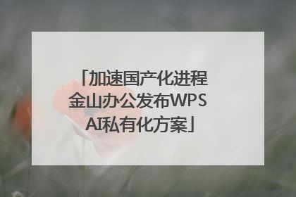 加速国产化进程 金山办公发布WPS AI私有化方案