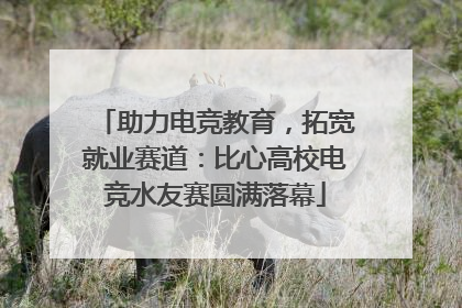 助力电竞教育，拓宽就业赛道：比心高校电竞水友赛圆满落幕