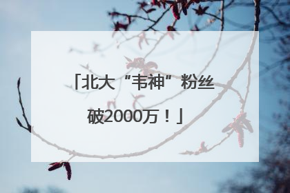 北大“韦神”粉丝破2000万！