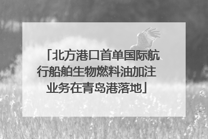 北方港口首单国际航行船舶生物燃料油加注业务在青岛港落地