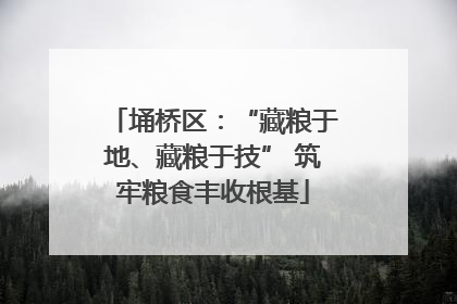 埇桥区：“藏粮于地、藏粮于技” 筑牢粮食丰收根基
