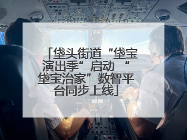 垡头街道“垡宝演出季”启动 “垡宝治家”数智平台同步上线