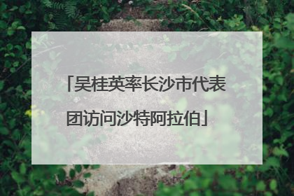 吴桂英率长沙市代表团访问沙特阿拉伯