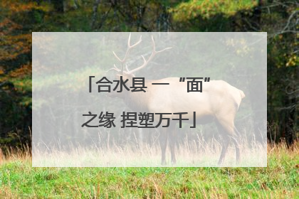 合水县 一“面”之缘 捏塑万千