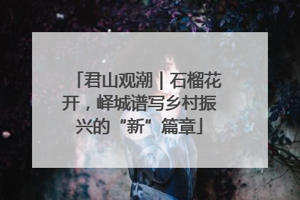 君山观潮｜石榴花开，峄城谱写乡村振兴的“新”篇章