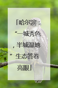 哈尔滨：“一城秀色，半城湿地”生态答卷亮眼