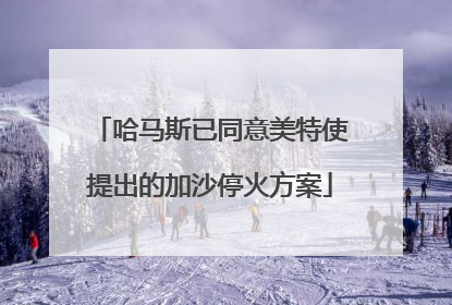 哈马斯已同意美特使提出的加沙停火方案