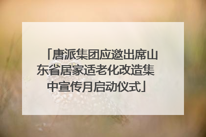 唐派集团应邀出席山东省居家适老化改造集中宣传月启动仪式