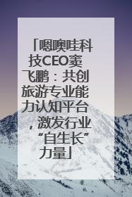 嗯噢哇科技CEO窦飞鹏：共创旅游专业能力认知平台，激发行业“自生长”力量