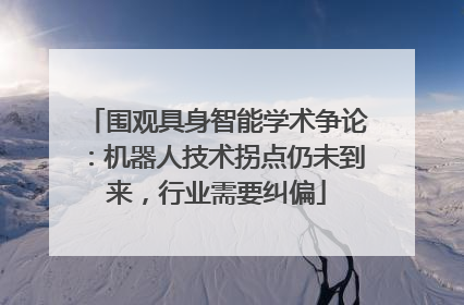 围观具身智能学术争论：机器人技术拐点仍未到来，行业需要纠偏