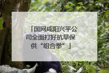 国网咸阳兴平公司全面打好抗旱保供“组合拳”