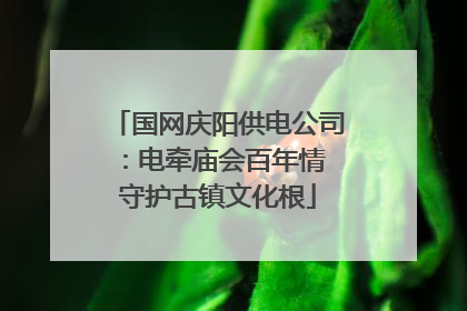 国网庆阳供电公司：电牵庙会百年情 守护古镇文化根