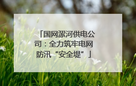 国网漯河供电公司：全力筑牢电网防汛“安全堤”