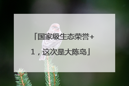 国家级生态荣誉+1，这次是大陈岛
