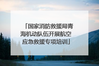 国家消防救援局青海机动队伍开展航空应急救援专项培训
