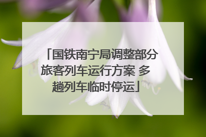 国铁南宁局调整部分旅客列车运行方案 多趟列车临时停运
