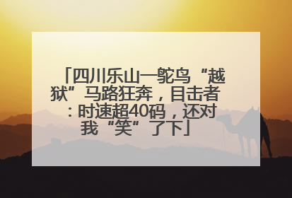 四川乐山一鸵鸟“越狱”马路狂奔，目击者：时速超40码，还对我“笑”了下