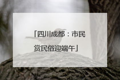 四川成都：市民赏民俗迎端午