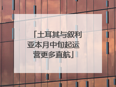 土耳其与叙利亚本月中旬起运营更多直航