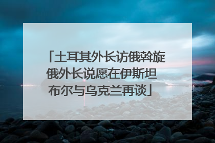 土耳其外长访俄斡旋 俄外长说愿在伊斯坦布尔与乌克兰再谈