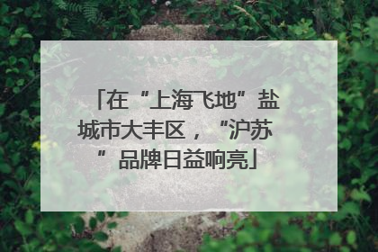 在“上海飞地”盐城市大丰区，“沪苏”品牌日益响亮