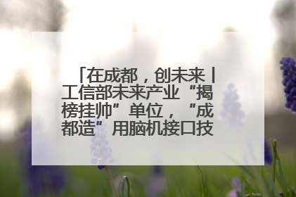 在成都，创未来丨工信部未来产业“揭榜挂帅”单位，“成都造”用脑机接口技术造福孤独症儿童