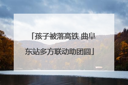 孩子被落高铁 曲阜东站多方联动助团圆