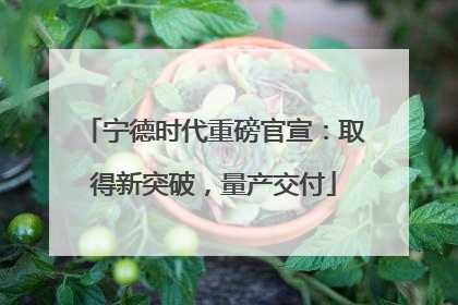 宁德时代重磅官宣：取得新突破，量产交付