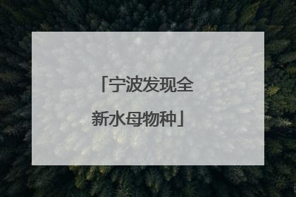 宁波发现全新水母物种