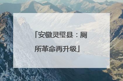安徽灵璧县：厕所革命再升级