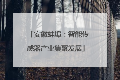 安徽蚌埠：智能传感器产业集聚发展