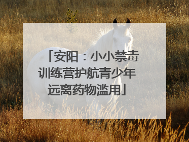 安阳：小小禁毒训练营护航青少年远离药物滥用