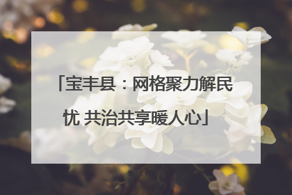 宝丰县：网格聚力解民忧 共治共享暖人心