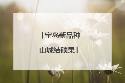 宝岛新品种 山城结硕果