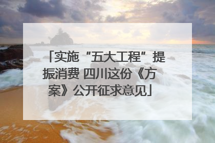 实施“五大工程”提振消费 四川这份《方案》公开征求意见