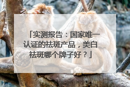 实测报告：国家唯一认证的祛斑产品，美白祛斑哪个牌子好？