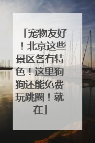 宠物友好！北京这些景区各有特色！这里狗狗还能免费玩跳圈！就在