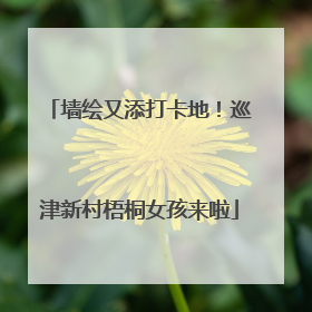 墙绘又添打卡地！巡津新村梧桐女孩来啦