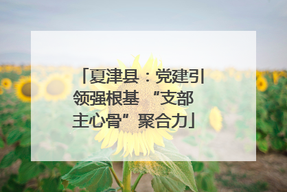夏津县：党建引领强根基 “支部主心骨”聚合力