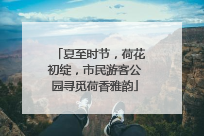夏至时节，荷花初绽，市民游客公园寻觅荷香雅韵