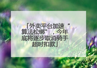 外卖平台加速“算法松绑”，今年底将逐步取消骑手超时扣款