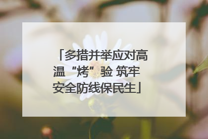多措并举应对高温“烤”验 筑牢安全防线保民生