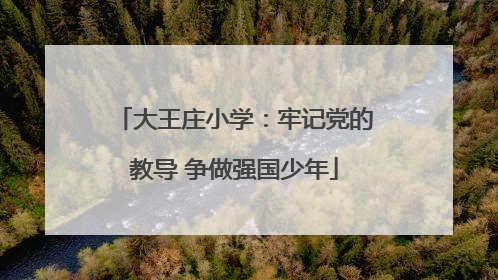 大王庄小学：牢记党的教导 争做强国少年