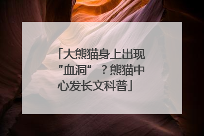 大熊猫身上出现“血洞”？熊猫中心发长文科普