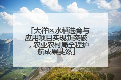 大祥区水稻选育与应用项目实现新突破，农业农村局全程护航成果斐然