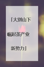 大别山下崛起茶产业新势力