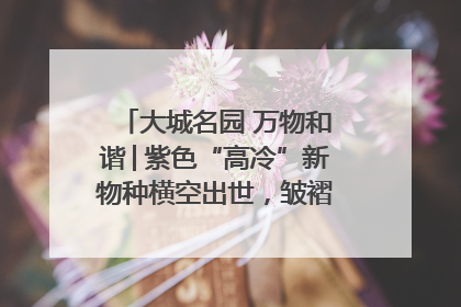 大城名园 万物和谐│紫色“高冷”新物种横空出世，皱褶叶片暗藏进化密码