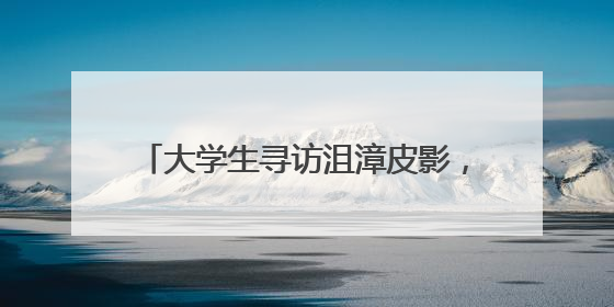 大学生寻访沮漳皮影，探求非遗创新性发展