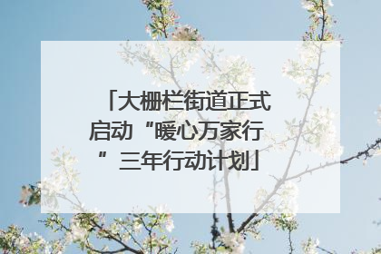 大栅栏街道正式启动“暖心万家行”三年行动计划