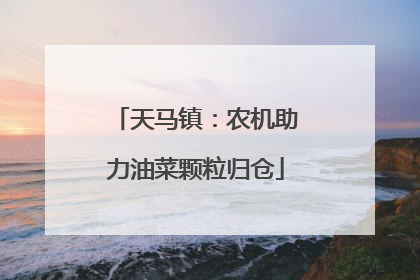 天马镇：农机助力油菜颗粒归仓